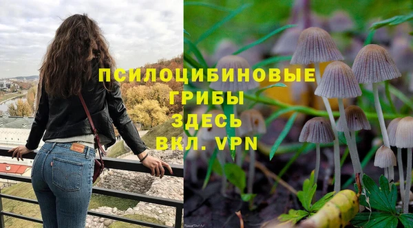 apvp Алексин