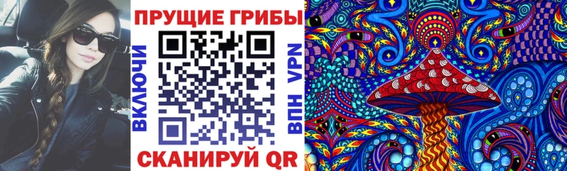 блэк спрут онион  Бодайбо  Галлюциногенные грибы прущие грибы 