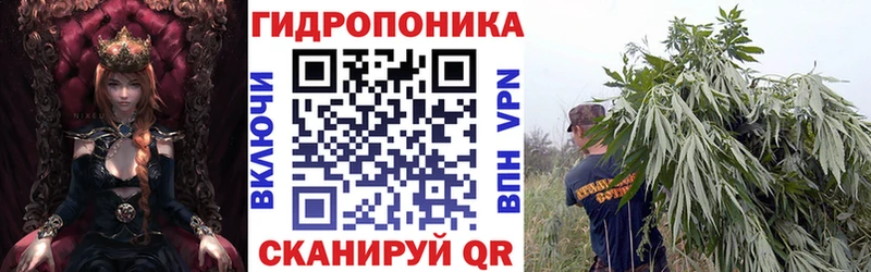 Каннабис VHQ  МЕГА ССЫЛКА  Бодайбо  цена наркотик 